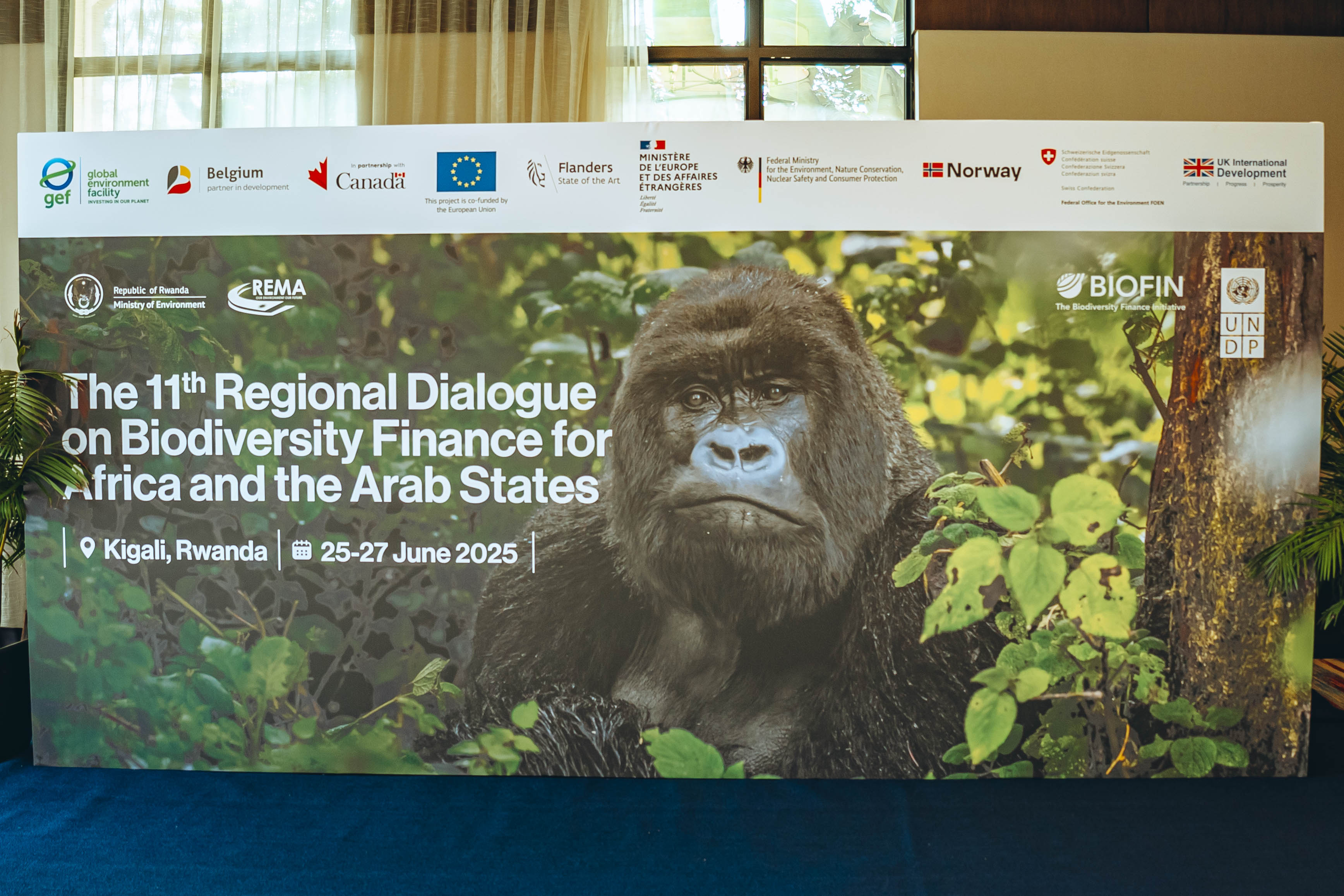 Africa Regional Dialogue in Rwanda