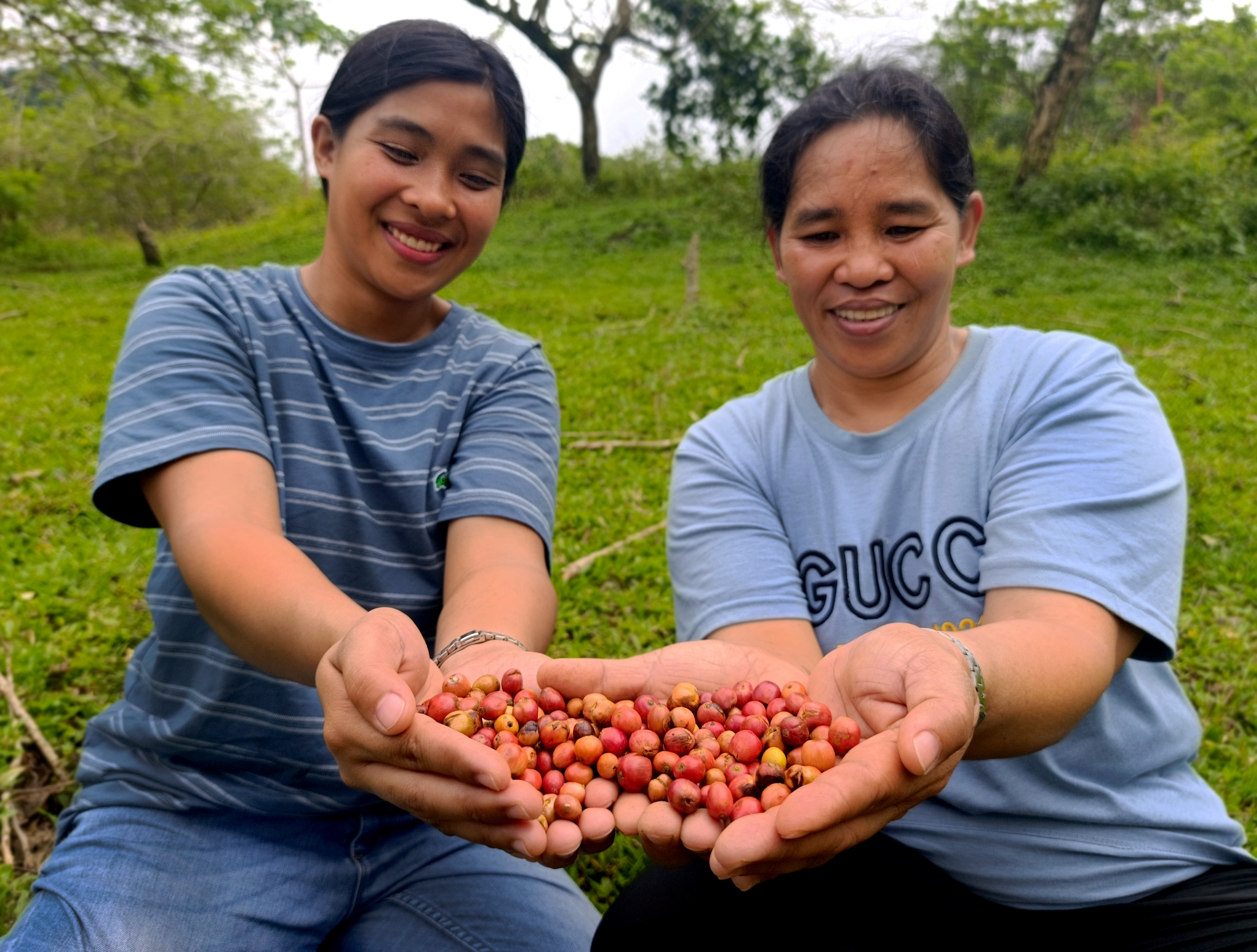Coffee connects generations. Clad presents a handful of freshly-plucked coffee cherries with her daughter Sheila Mae, who now serves as the Tambara Forest Settlers Association's Secretary. Photo: Gregg Yan