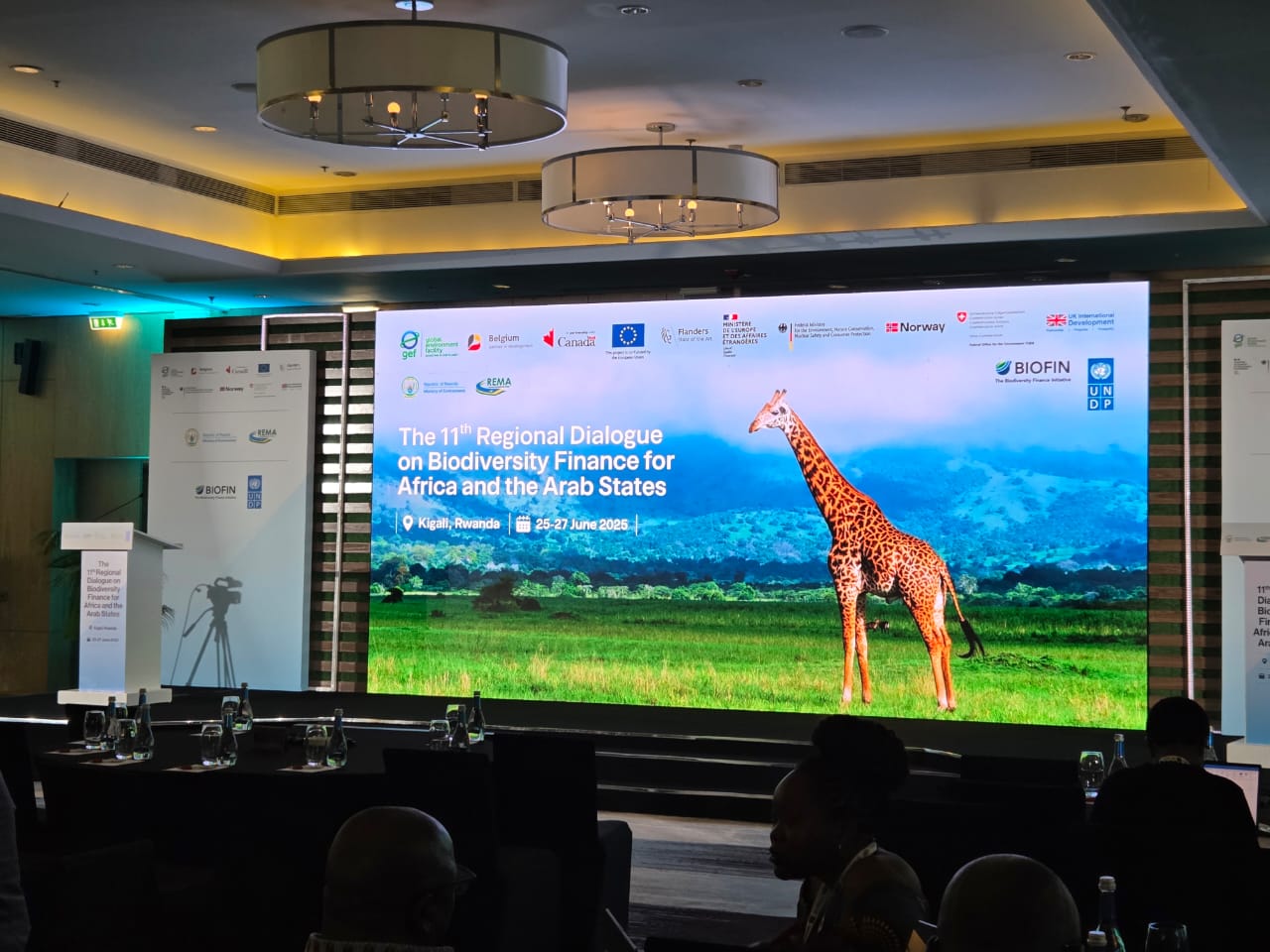 Countdown begins! 11th Regional Dialogue on Biodiversity Finance for Africa and Arab States