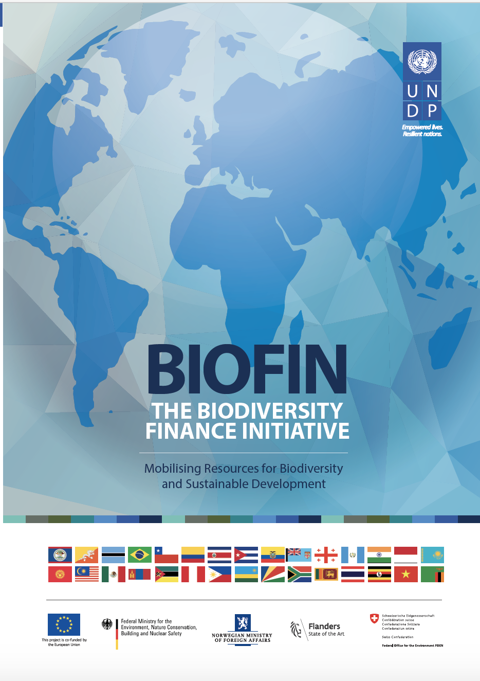 English BIOFIN Brochure  