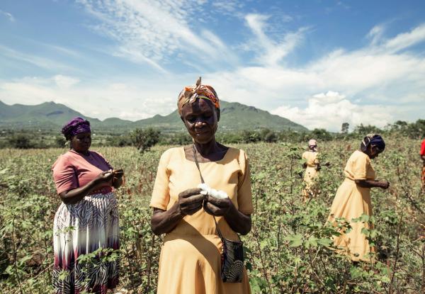 Photo by CIFOR-ICRAF