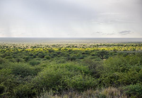 UNDP Namibia