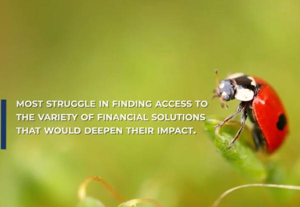 BIOFIN Finance Solutions Catalogue