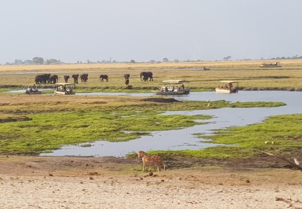 drying Chobe river front