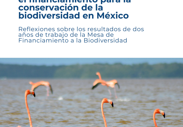 portada del documento de la mesa de financiamiento