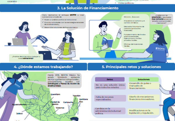Movilización de recursos a nivel subnacional en México