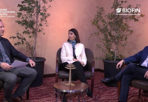 The future of biodiversity finance in an era of global uncertainty