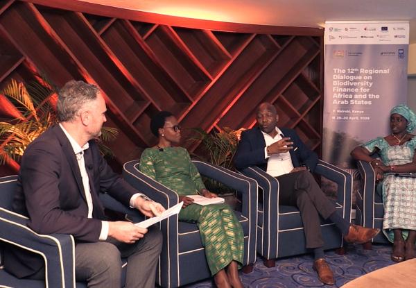 Why is biodiversity finance becoming an economic priority across Africa?