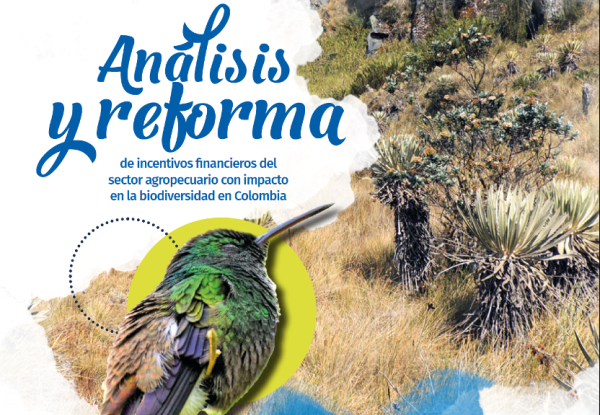 Portada Incentivos ESP