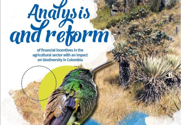 Portada Incentivos EN