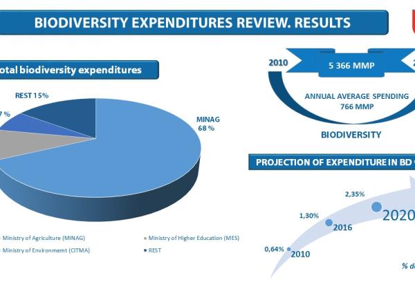 BD Expenditure Review