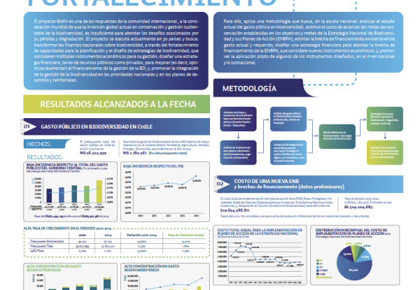 Poster Biodiversity Finance in Chile