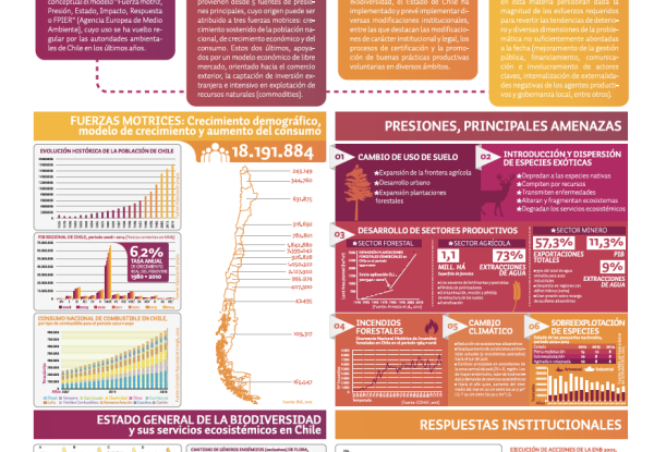 Chile Poster biodiversity and ecosystem services