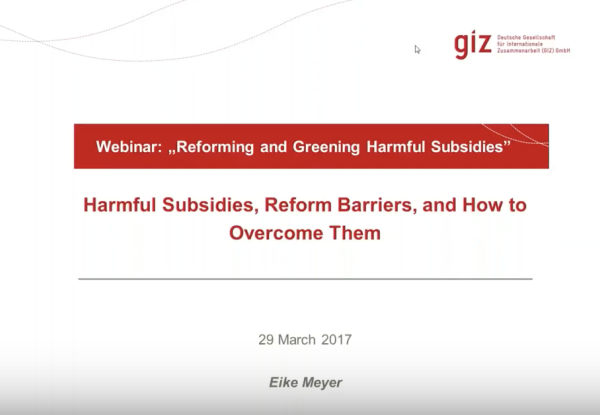 harmful subsidies webinar