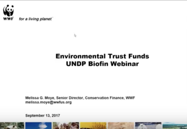 Trust funds webinar