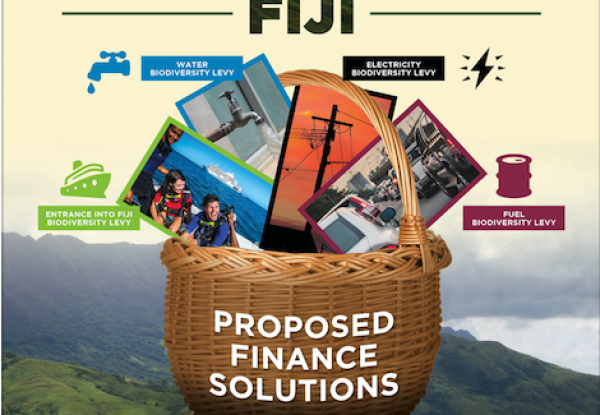 Fiji poster