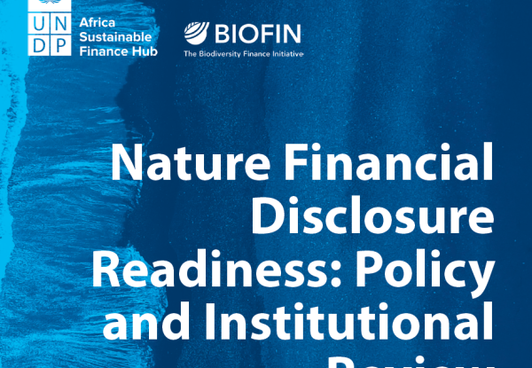 Nature Financial Disclosure Readiness: Policy and Institutional Review in South Africa
