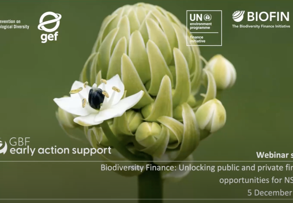 BIOFIN-UNEP FI Webinar “Biodiversity Finance: Exploring public and private finance opportunities for NSBAPs”