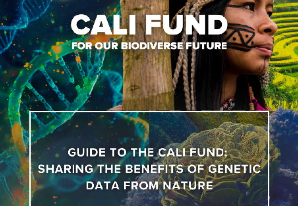 Guide to the Cali Fund