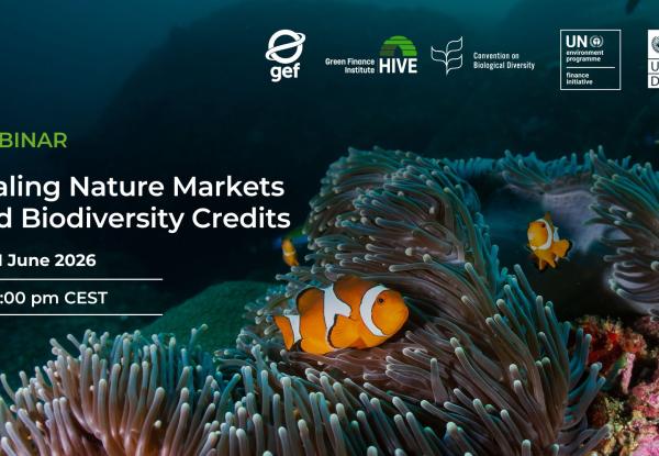 Webinar