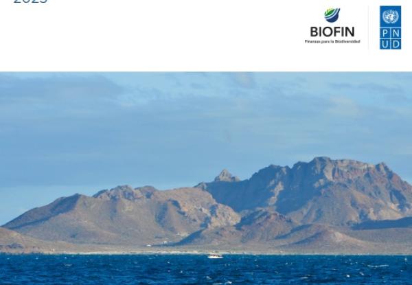 Biodiversity-related Risks and the Financial System: Evidence from Mexico