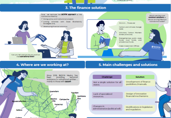 Mobilizing Resources at the Subnational Level in Mexico