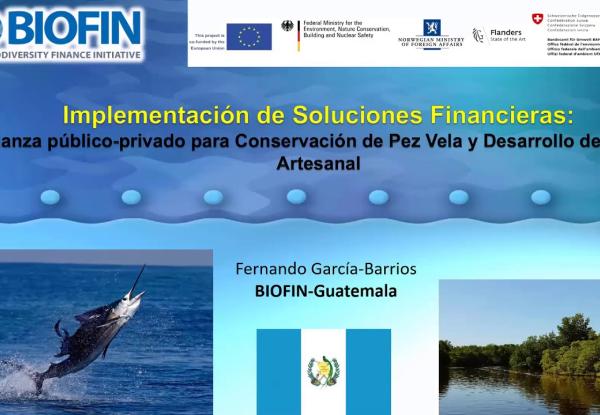  Seminario web: Implementación del plan de financiamiento de la biodiversidad