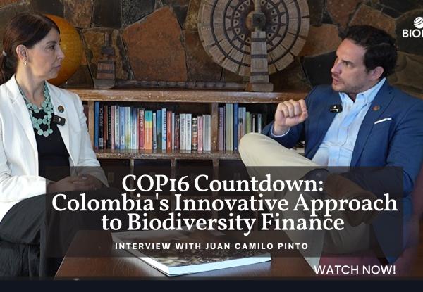 COP16 Countdown: Colombia's Innovative Approach to Biodiversity Finance
