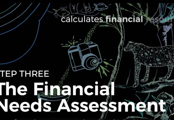 The roadmap for building Biodiversity Finance Plans