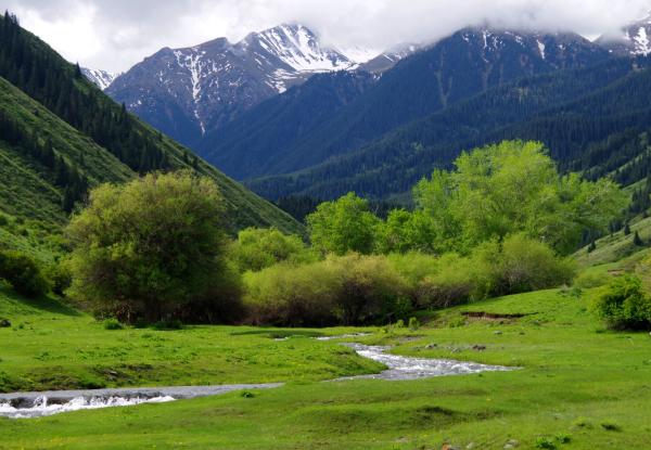 Photo: UNDP Kazakhstan