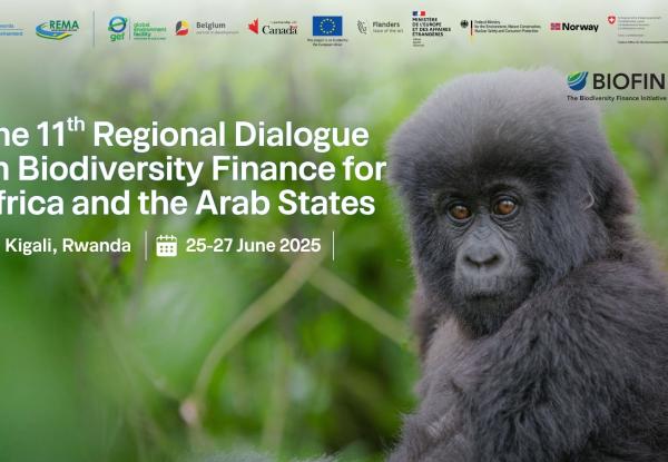 Biodiversity Finance Results from Africa
