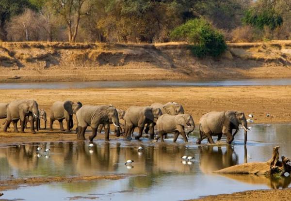 Photo credit: dmussman/Adobe Stock