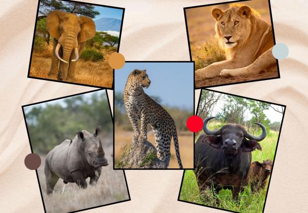 Africa's Big Five