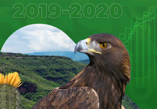 BER Jalisco 2019-2020