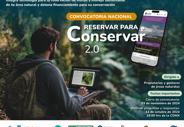 Infografía de la convocatoria