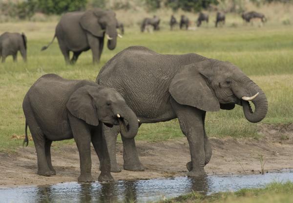 Photo: UNDP Botswana