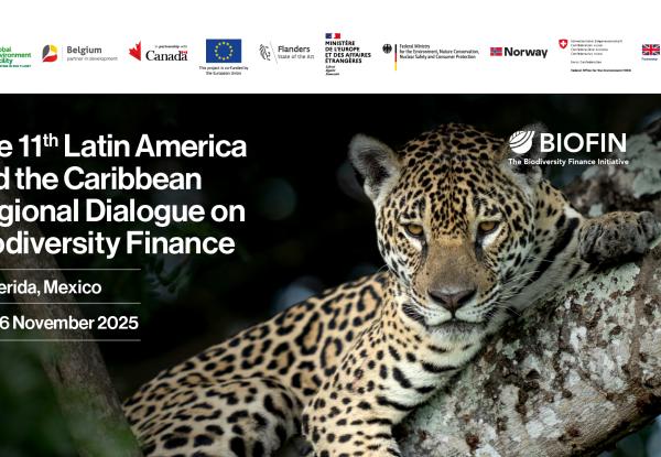 LAC Regional Dialogue