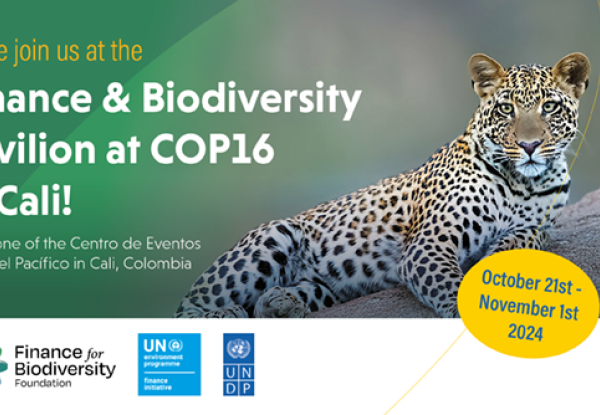 Finance for Biodiversity Foundation, UNEP FI and UNDP announce pavilion at COP16 Biodiversity Conference