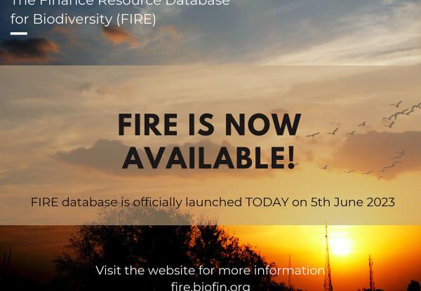 FIRE is launched!