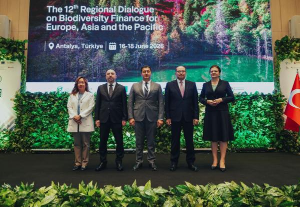 Photo: UNDP Türkiye