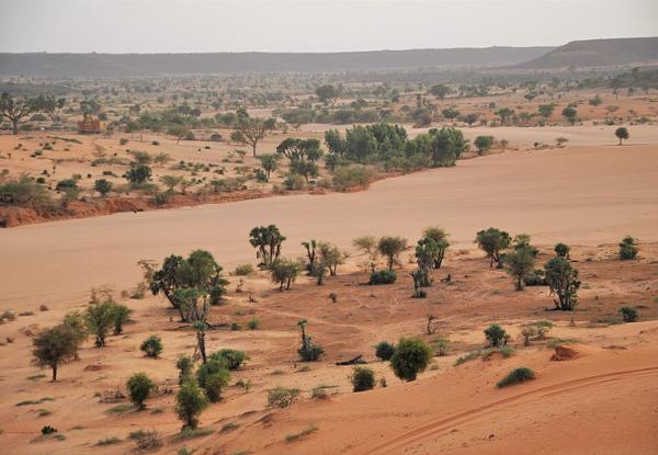 Dunes outside Niamey, the captital