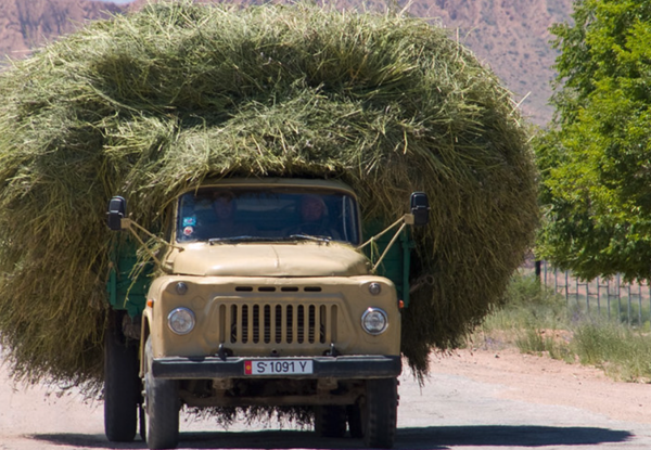 truck