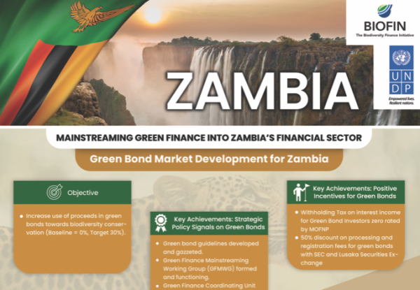 Mainstreaming Green Finance Into Zambia’s Financial Sector