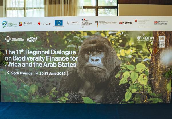 Africa Regional Dialogue in Rwanda