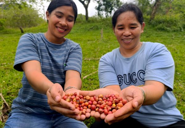 Coffee connects generations. Clad presents a handful of freshly-plucked coffee cherries with her daughter Sheila Mae, who now serves as the Tambara Forest Settlers Association's Secretary. Photo: Gregg Yan