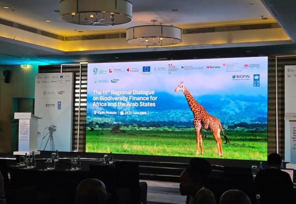 Countdown begins! 11th Regional Dialogue on Biodiversity Finance for Africa and Arab States
