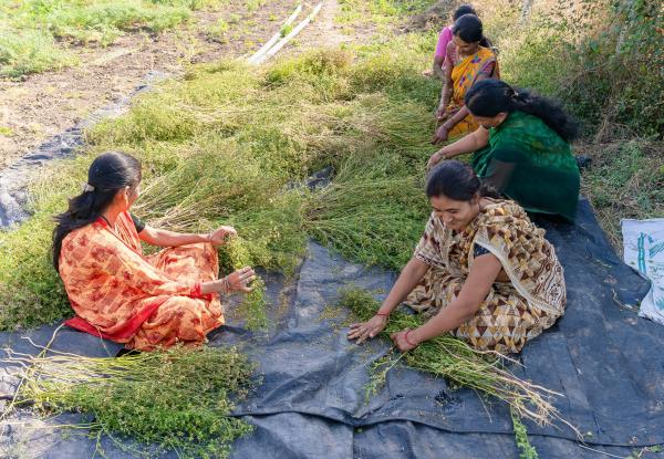 Photo: Unslash / Farmers in India