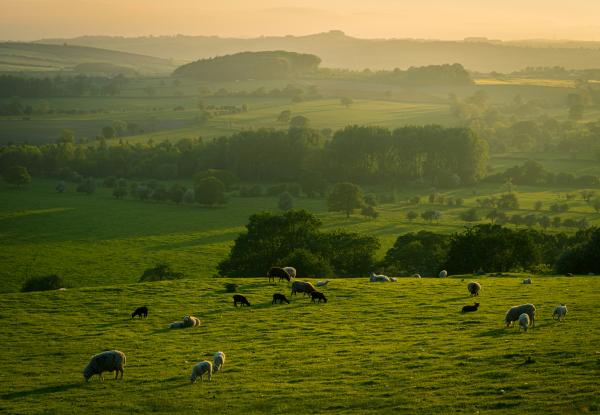 Illiya Vjestica/Unsplash