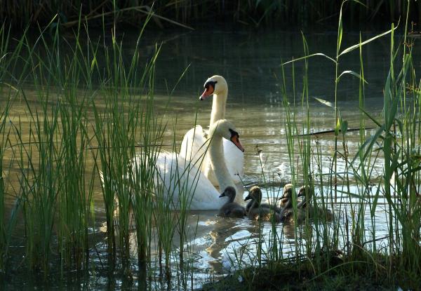 Photo: UNDP Kazakhstan