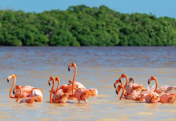 With support from BIOFIN more than 130 globally are advancing Biodiversity Finance 